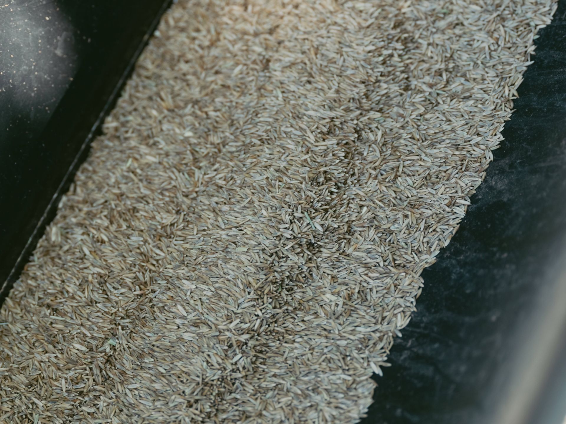 Close-up of a beige textured fabric or carpet on a dark background