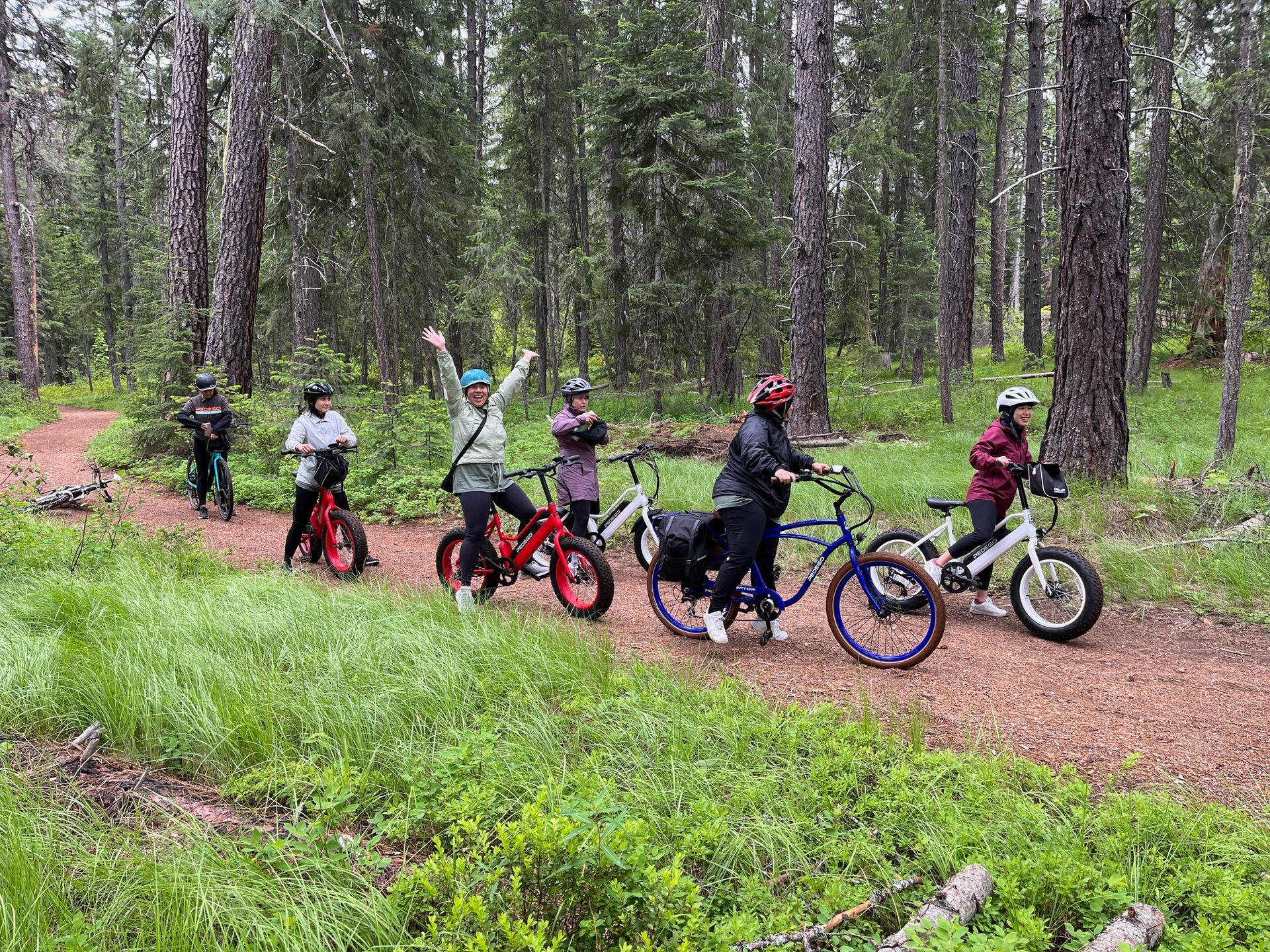 A group of people are riding bikes in the woods.