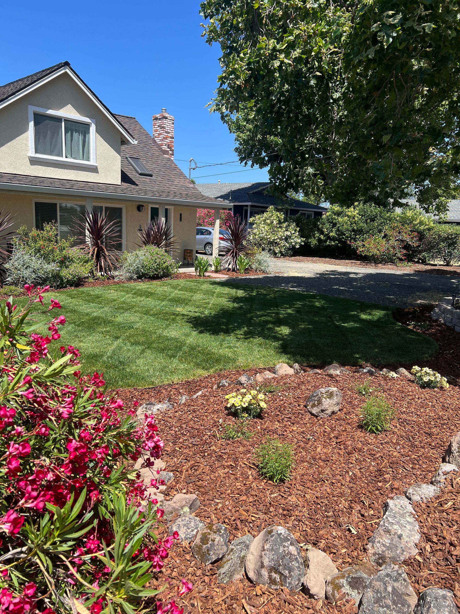 House with manicured lawn, colorful flowers, and a large tree on a sunny day.