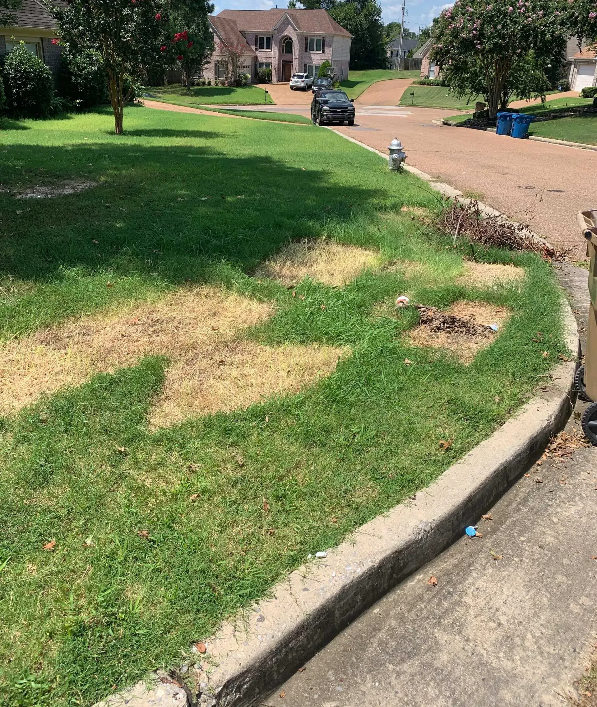 A Lawn With A Fire Hydrant In The Middle Of It | Olive Branch, M | Junk-It LLC