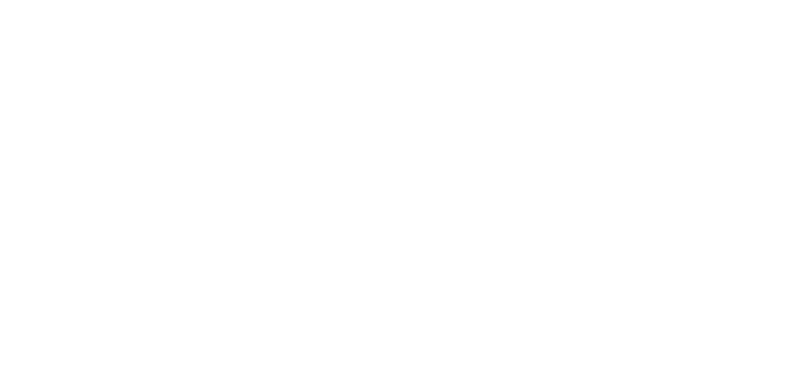 LOGO ALPA