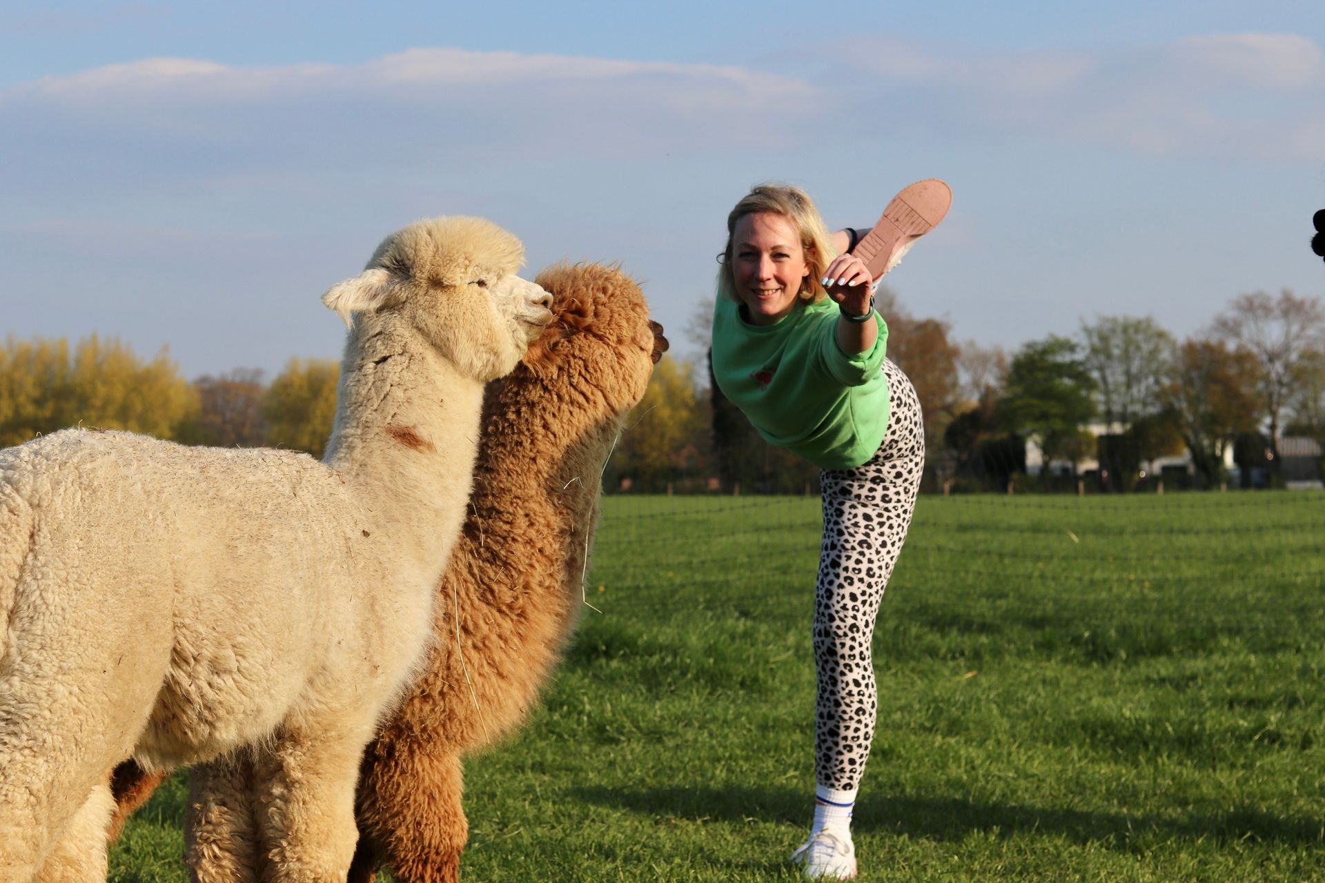 Yoga Workshops und Kurse in Krefeld