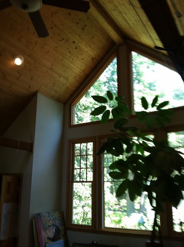 Interior with wooden ceiling, large windows with tree view, and a potted plant.