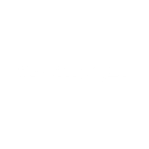 white Sportsnet logo
