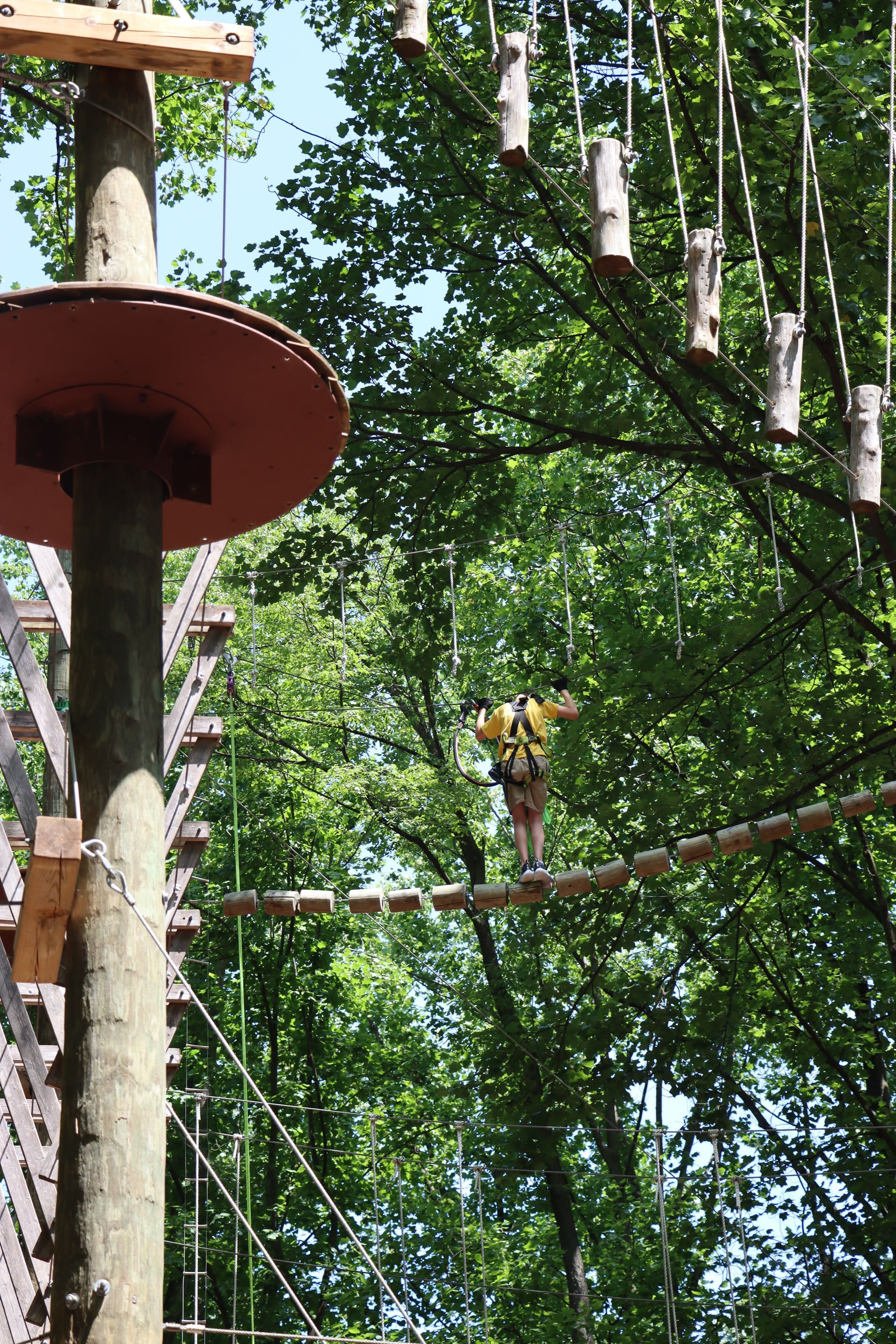 A person is standing on a ropes course in the woods at Tree Trekkers