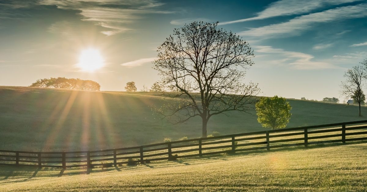 ABA Therapy Services Somerset Kentucky