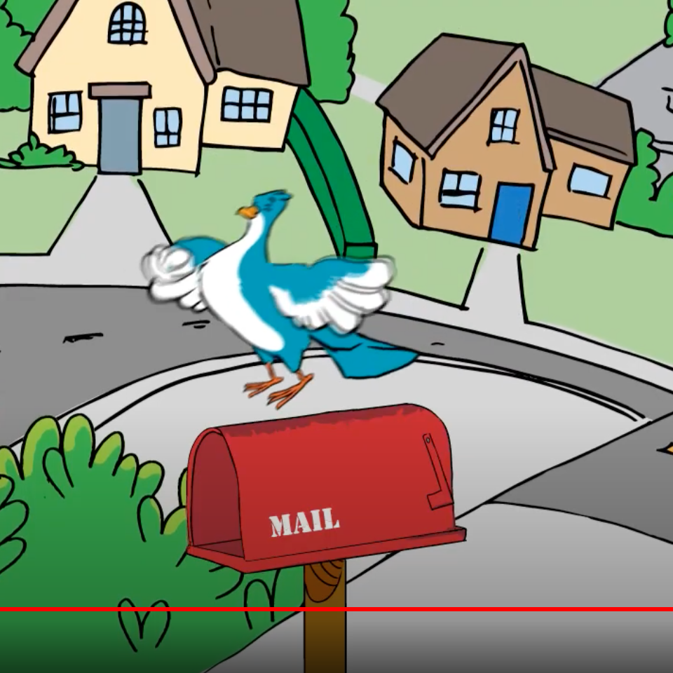 digiduif sqrean, studio amsterdam