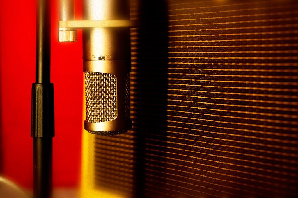condenser microphone guitar cabinet Neumann, Studio Projects