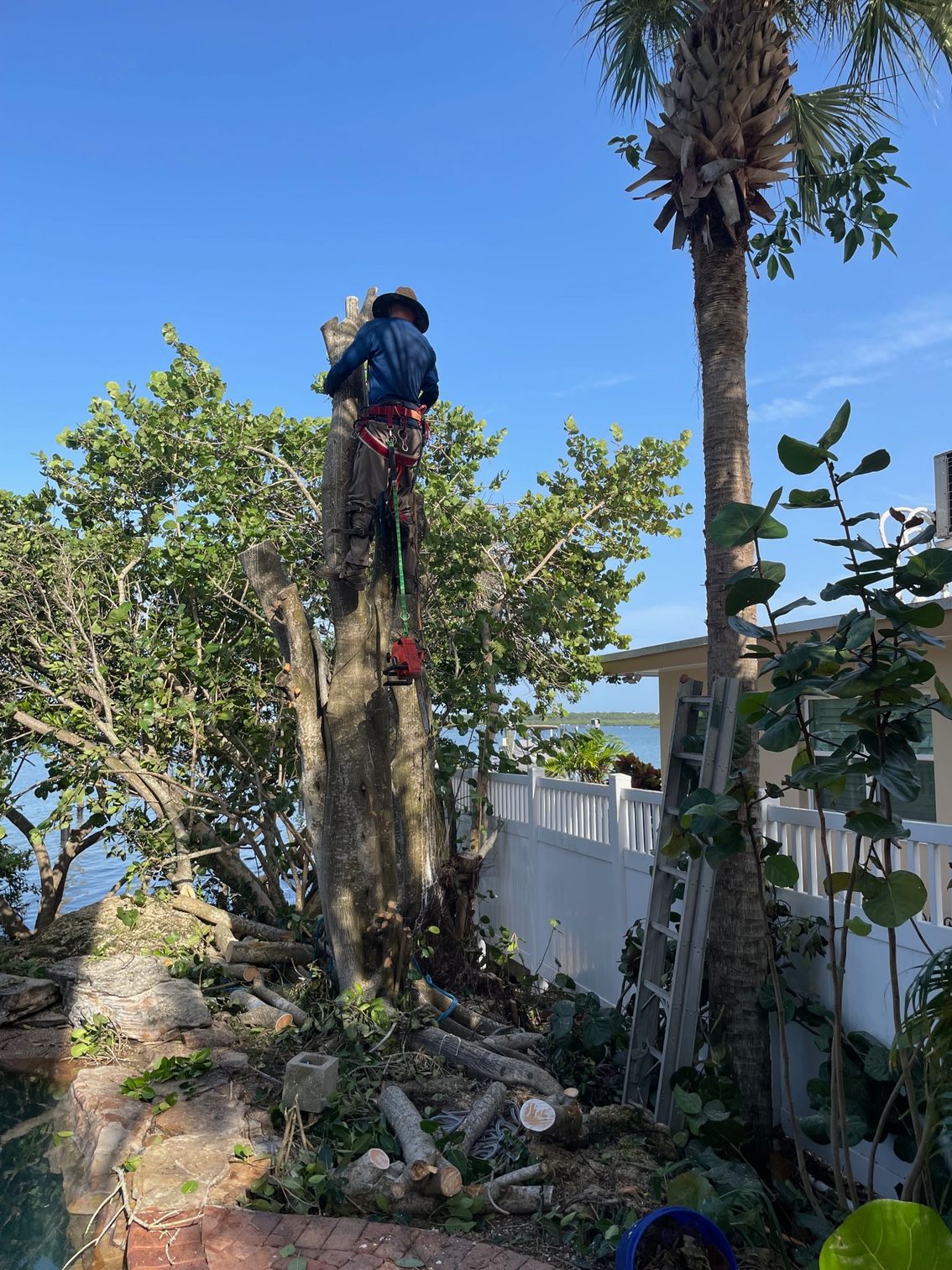 Home [total-tree-maintenance.com]