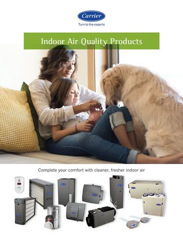A mother, daughter, and dog sit inside.