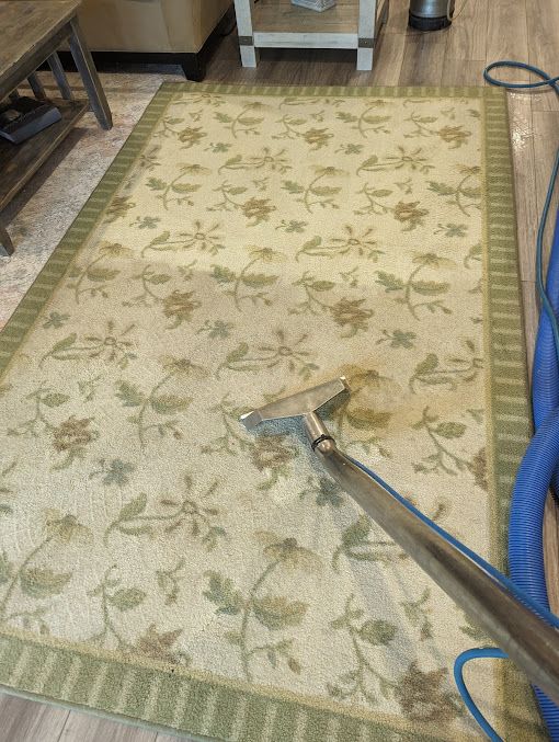 A vacuum cleaner is cleaning a rug in a living room.