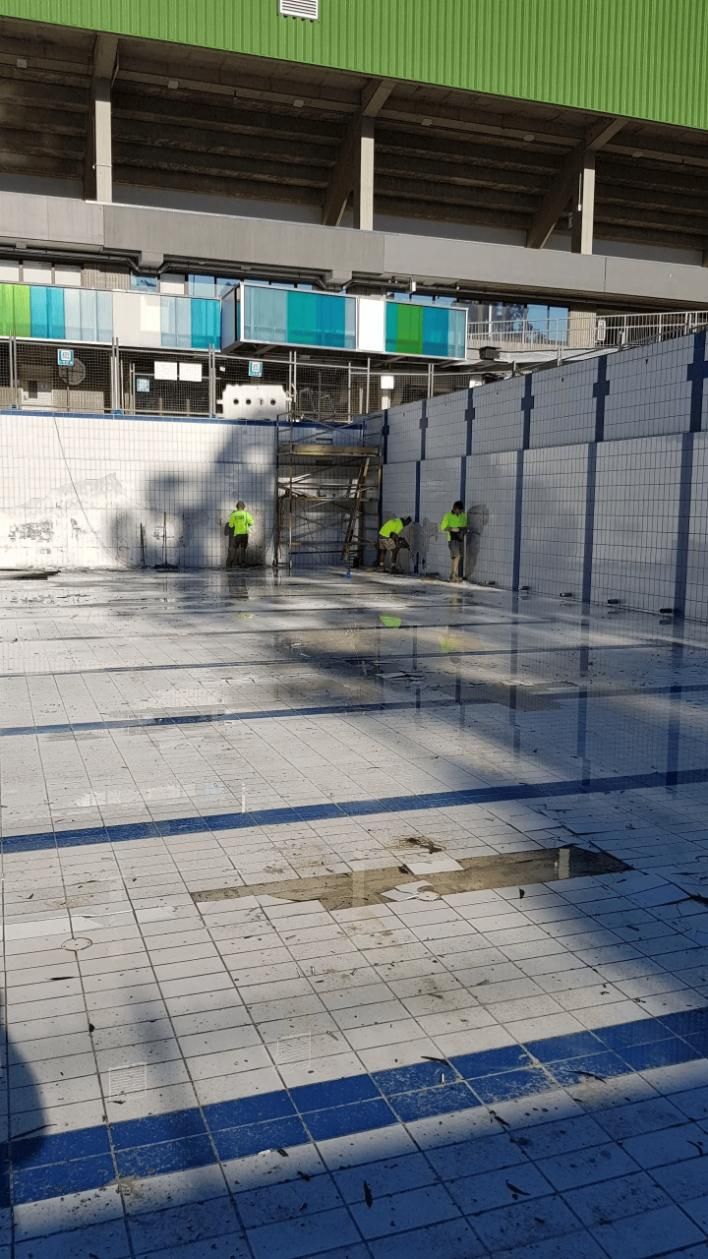 A Swimming Pool with A Green Roof and A Lot of Plants in Front of It — TNT Floor Removal & Demolition in Tewantin, QLD