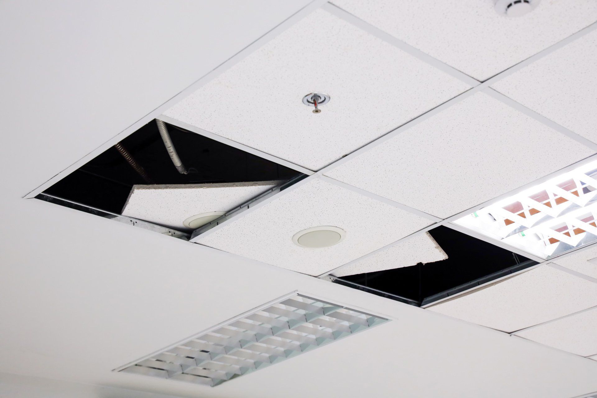 Drop Ceilings Birmingham AL