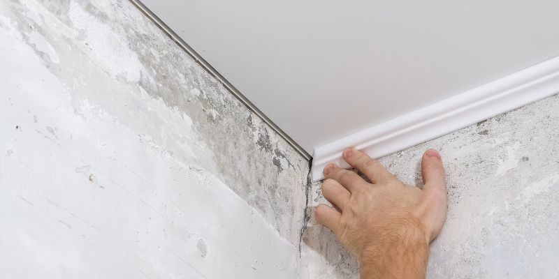 drywall ceiling birmingham al 