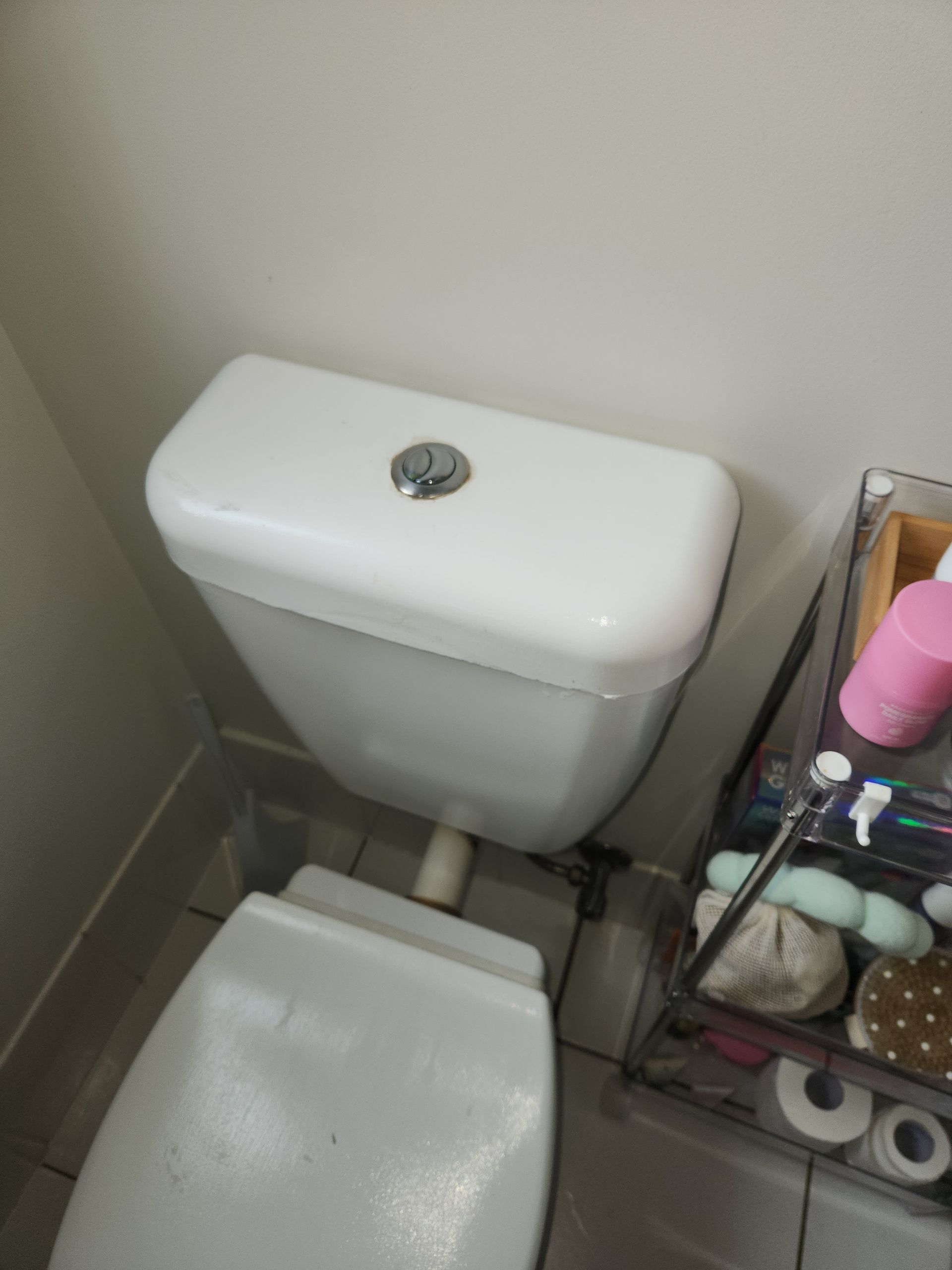 A White Toilet Tank With a Single Chrome Flush Button — Kingdom Plumbing Services in Gordonvale, QLD