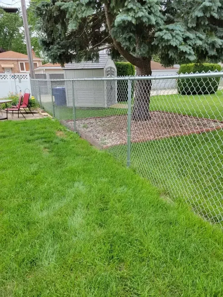 Green backyard with chain-link fence, tree, and mowed grass. A shed is in the background.