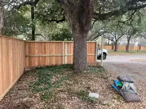 A wooden fence surrounds a tree. Green ground cover is at the tree's base, and a truck is visible in the background.