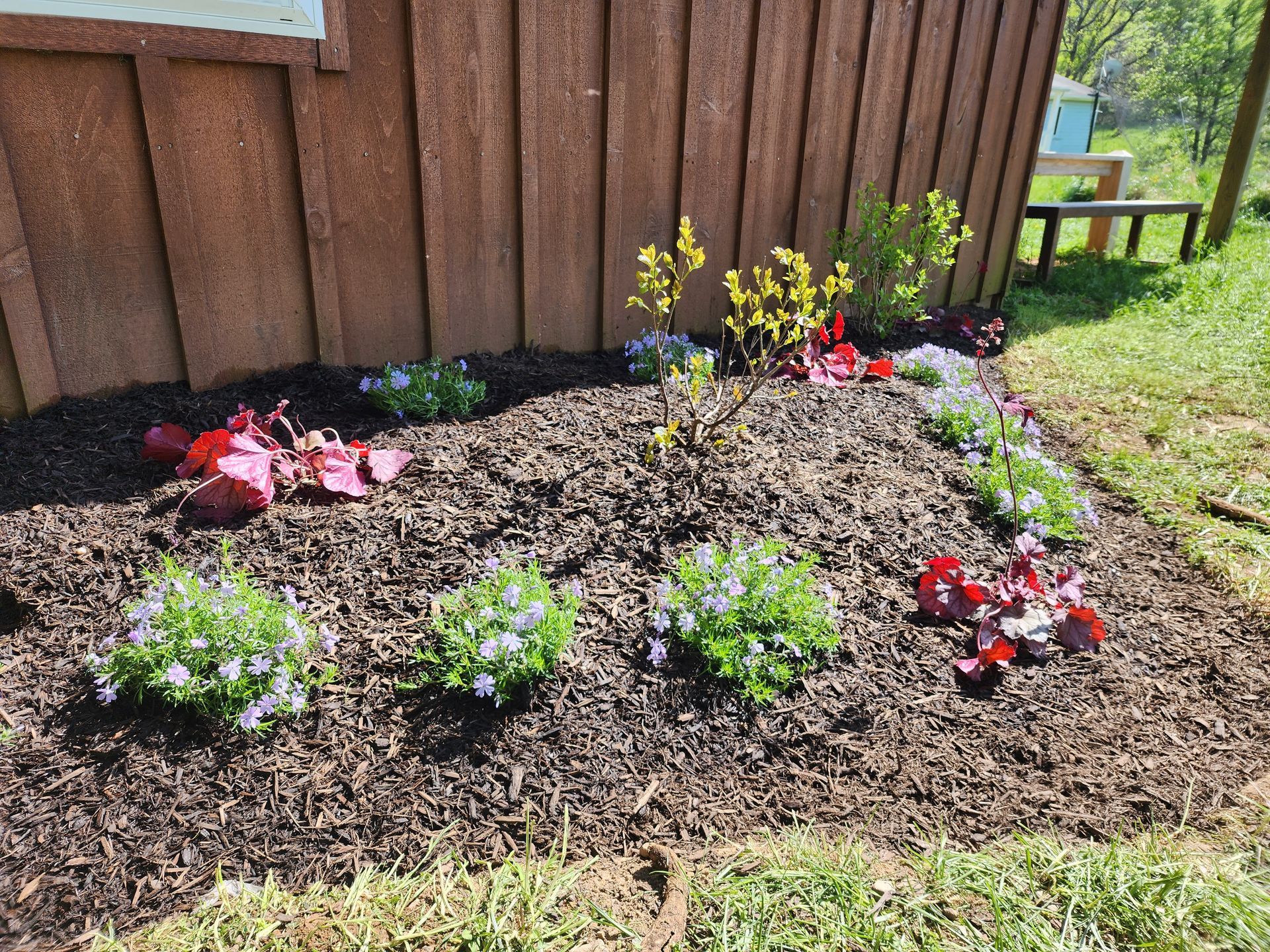 Flower bed with mulch and colorful flowers near a brown building and green grass.