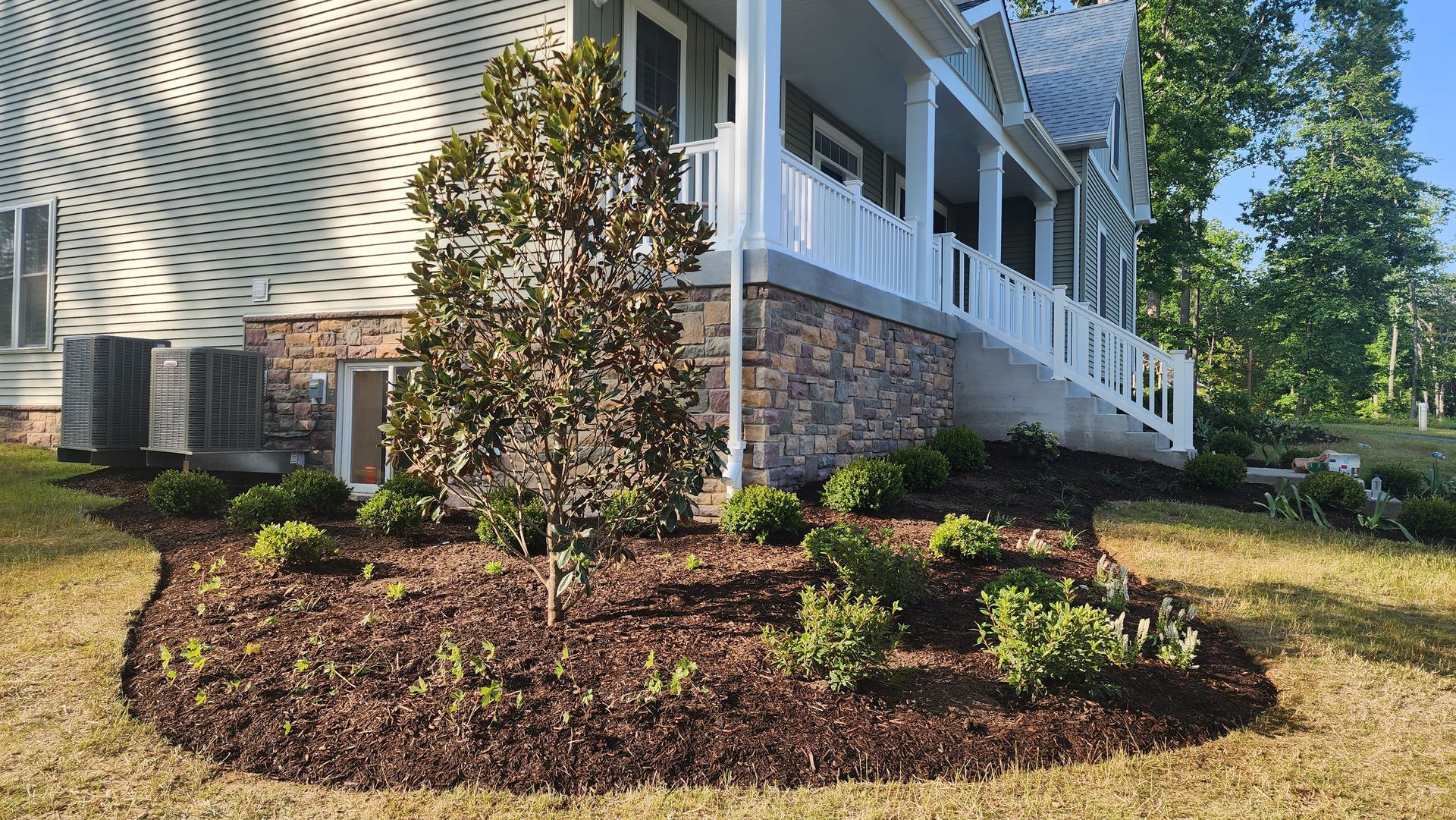 A landscaped yard with a young tree, bushes, and a house with a porch and stone foundation.