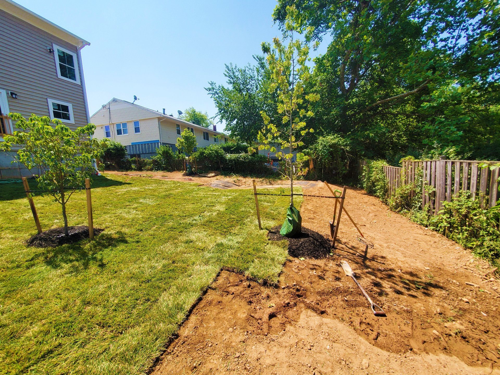 Backyard with newly planted trees, green grass, and a fence under a sunny sky.