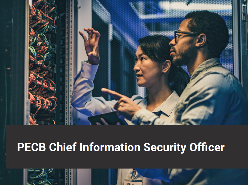 Chief Information Security Officer (CISO)