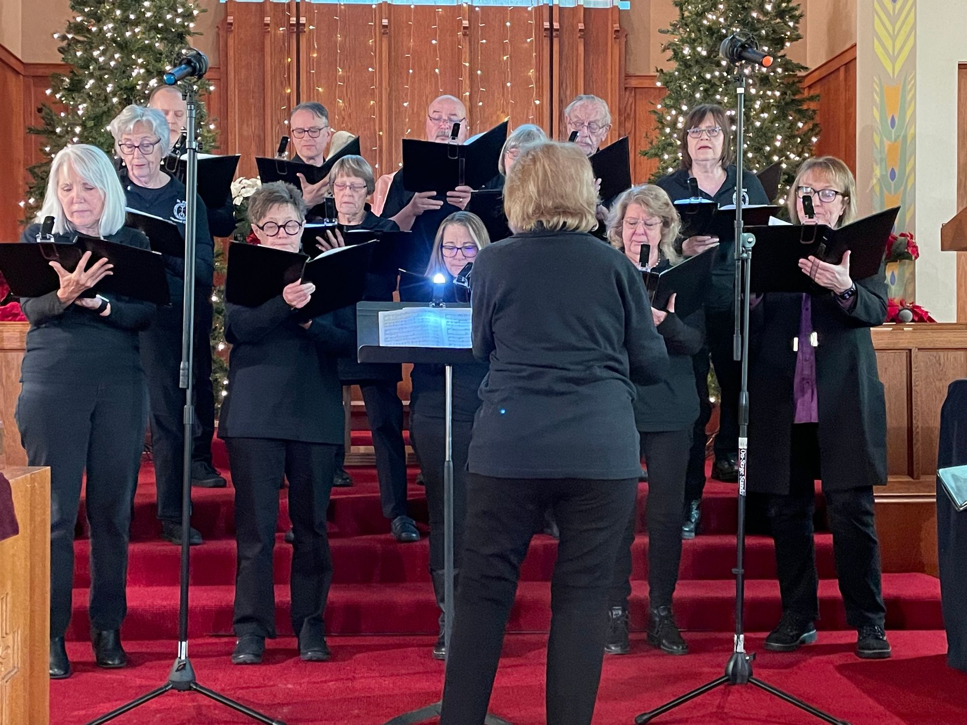 A choir is singing in a church with a christmas tree in the background.