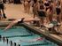 Swimmer dives into pool, starting a race, other swimmers and officials watch.