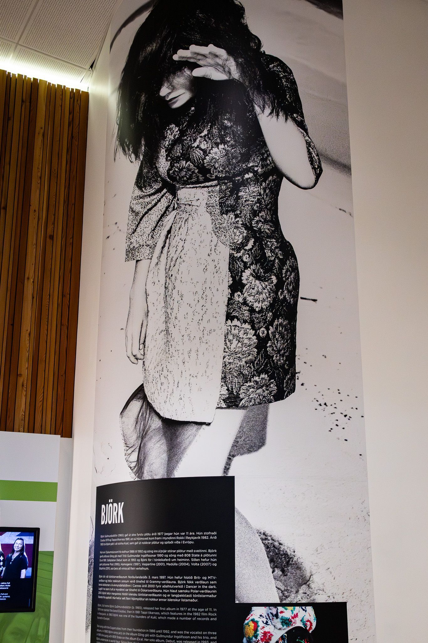Björk exhibition wall featuring a large portrait, timeline display, and iconic white stage outfit.