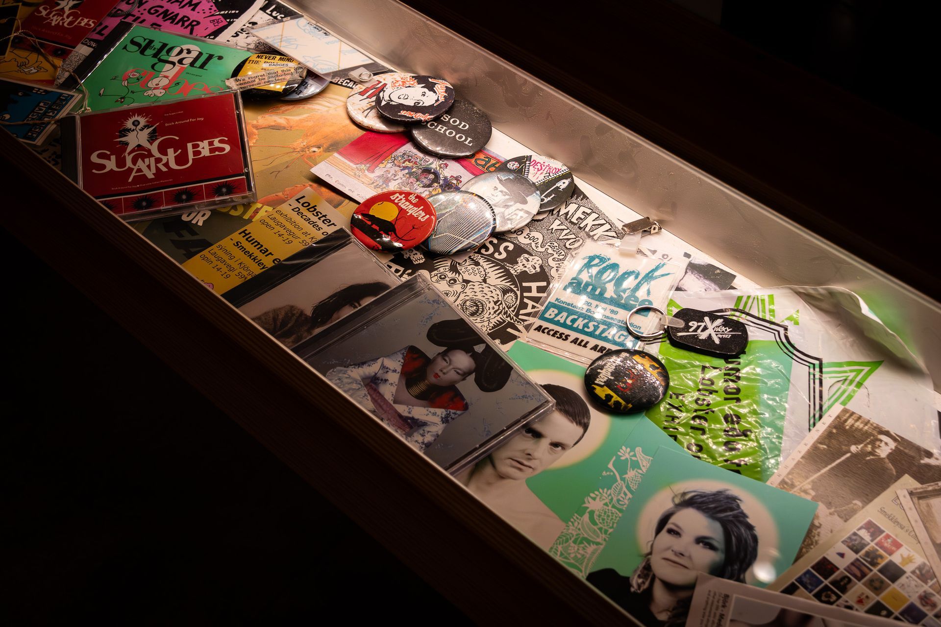 Display case featuring Björk-related memorabilia, backstage passes, badges, CDs, and music items.