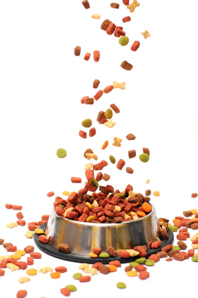 Dog Food Is Falling Into A Bowl On A White Background — Cessnock Pet & Greyhound Supplies in Cessnock, NSW