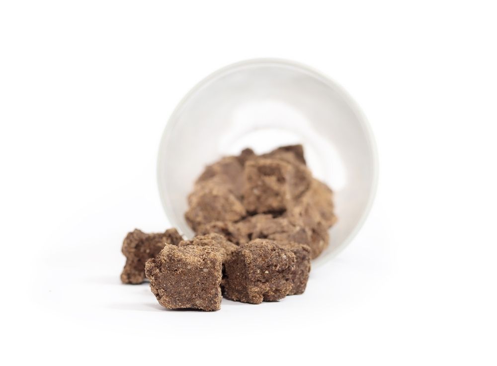 A White Bowl Filled With Chocolate Cubes On A White Surface — Cessnock Pet & Greyhound Supplies in Maitland, NSW