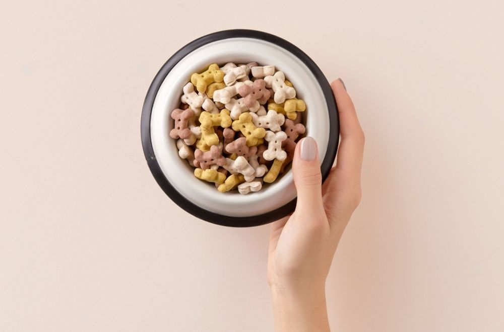 A Person Is Holding A Bowl Of Dog Food In Their Hand — Cessnock Pet & Greyhound Supplies in Wyong, NSW