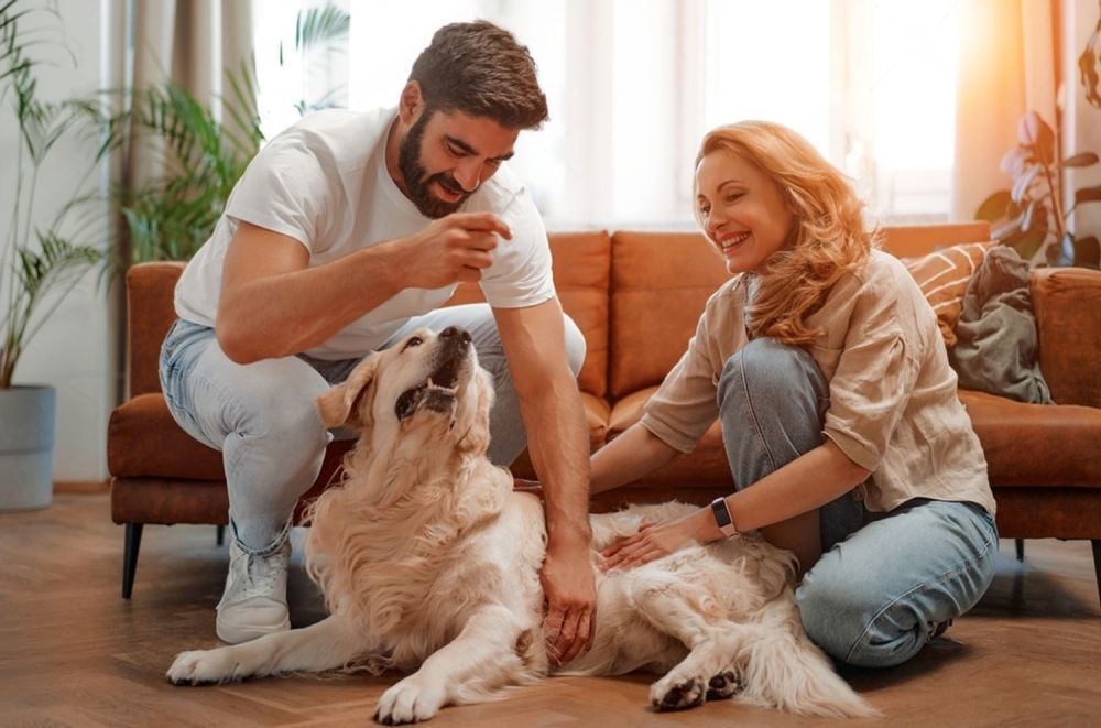 A Man And A Woman Are Sitting On The Floor Petting A Dog — Cessnock Pet & Greyhound Supplies in Cessnock, NSW
