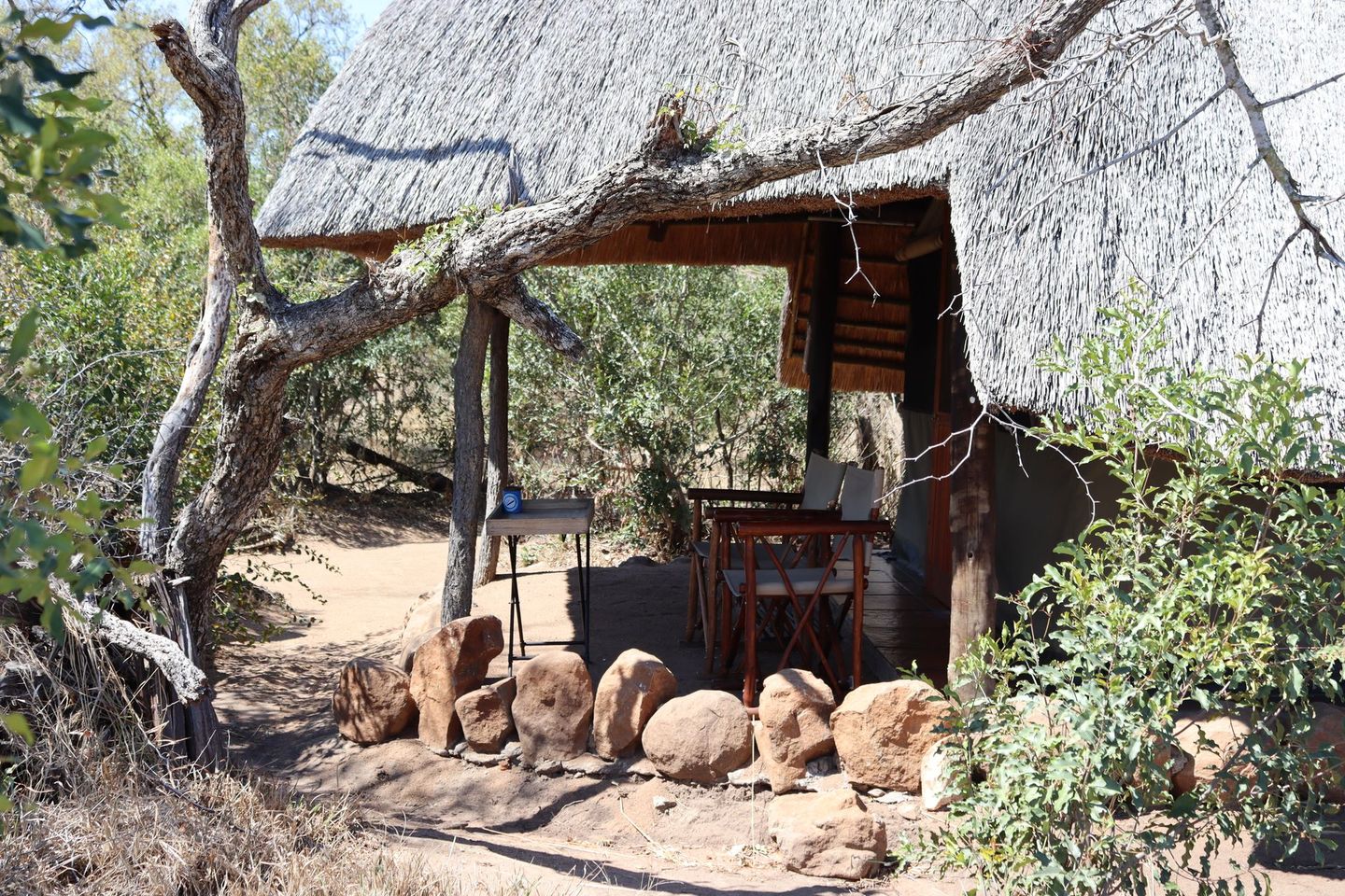 A rustic safari hut with a thatched roof, outdoor chairs, and a small table, nestled among trees and rocky ground.