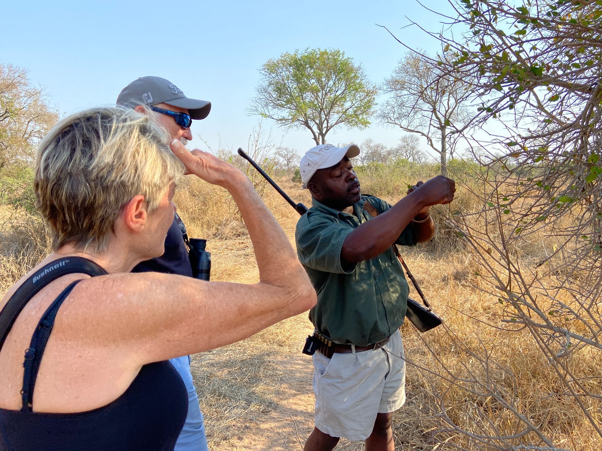 A guide shows a small object in the brush to two people during a sunny outdoor safari.