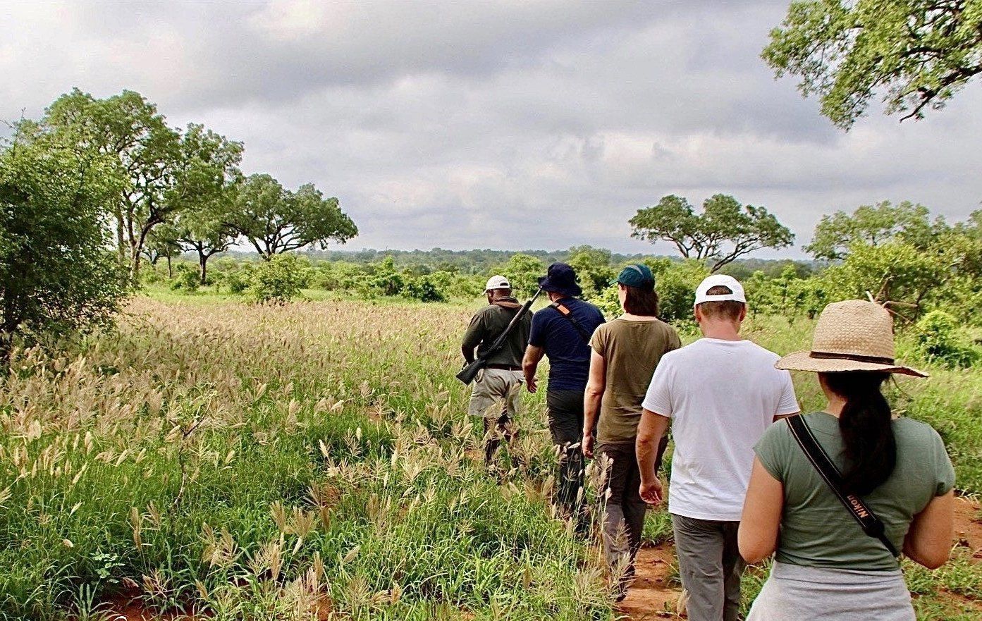 A group of people walks along a dirt path through a grassy, green savanna landscape under a cloudy sky.