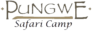 The logo for Pungwe Safari Camp with stylized dark brown text and a horizontal line on a white background.