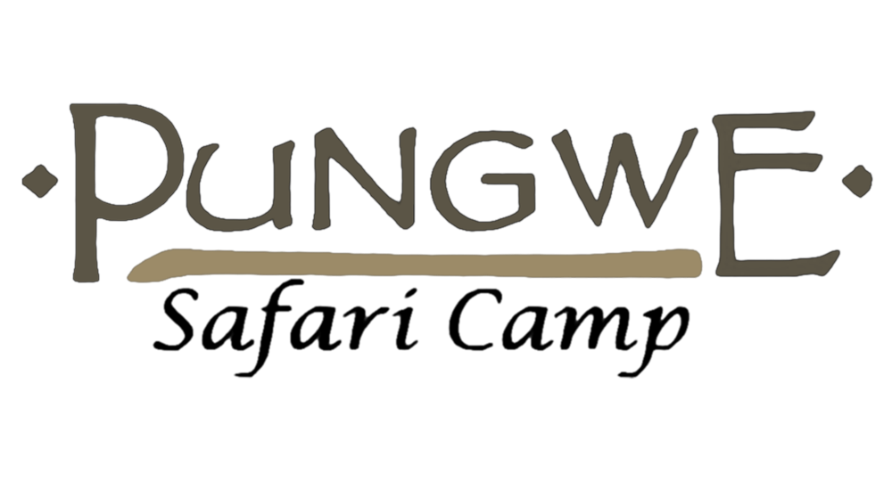 Logo for Pungwe Safari Camp with brown stylized text on a white background.