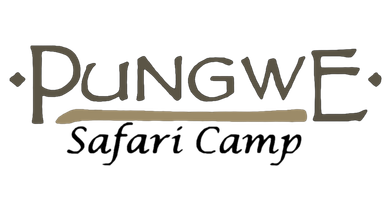 Logo for Pungwe Safari Camp with brown stylized text on a white background.