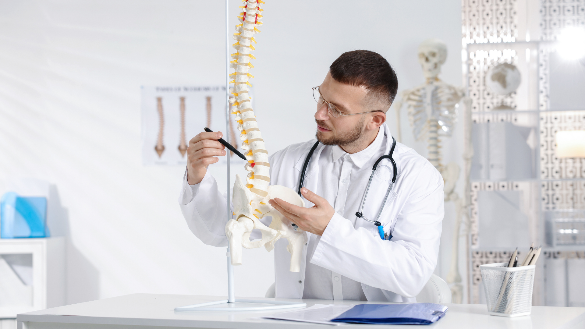 Doctor examining a spine model in a bright clinic office