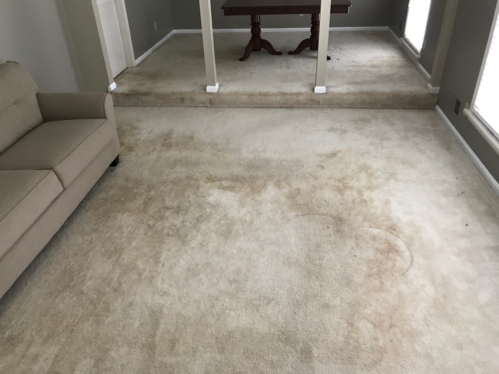 A living room with a couch , table and carpet.