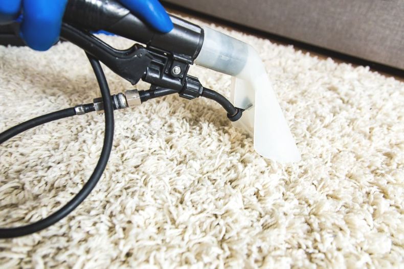 A person is cleaning a carpet with a vacuum cleaner.