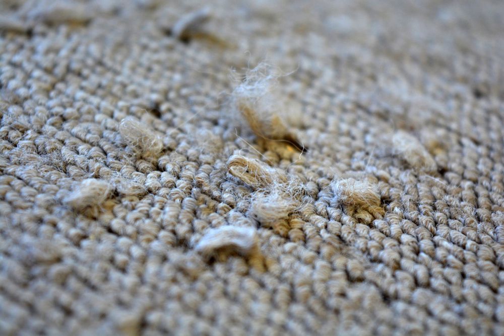 A close up of a carpet with a lot of dust on it.