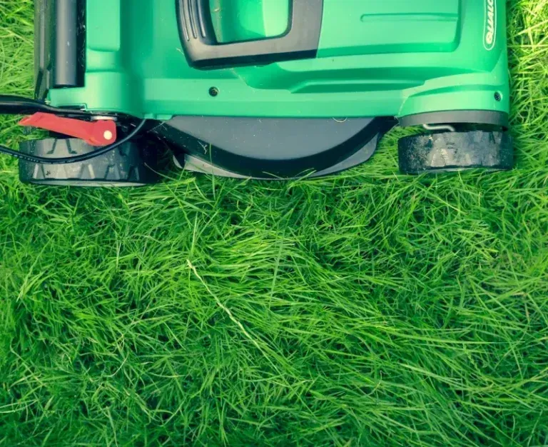 Green lawn mower on grass with visible rear wheels and deck