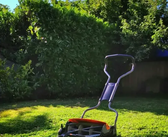 A lawn mower in a sunny green backyard with trees and bushes in the background.