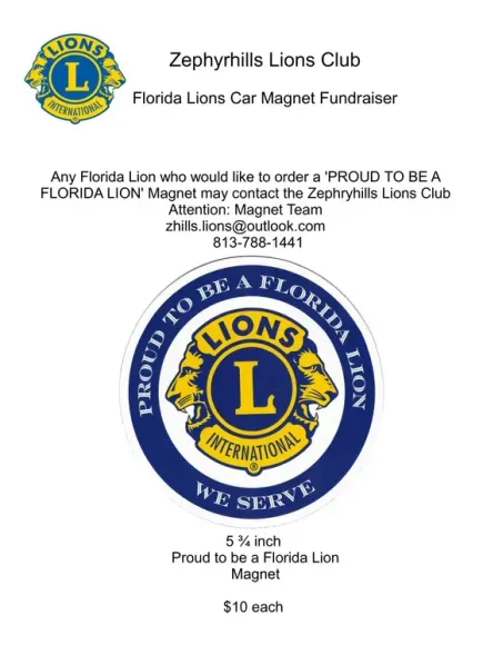 Magnet-Flyer-558w-576h.webp
