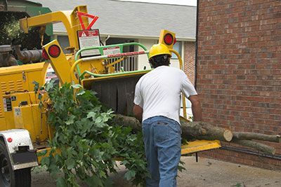 24-hour emergency tree removal