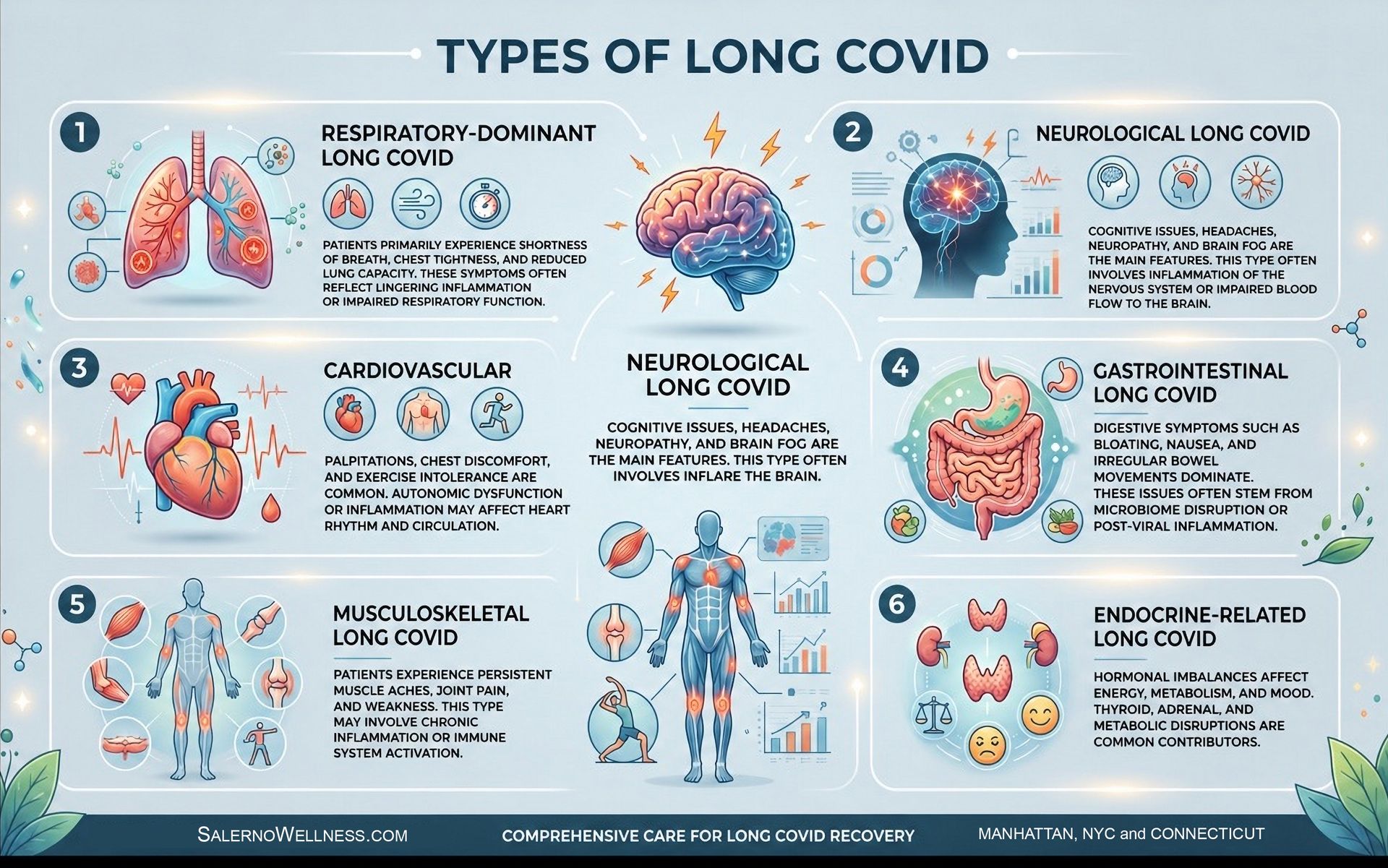 Infographic on long COVID types with lungs, brain, heart, and digestive system icons and brief symptom descriptions