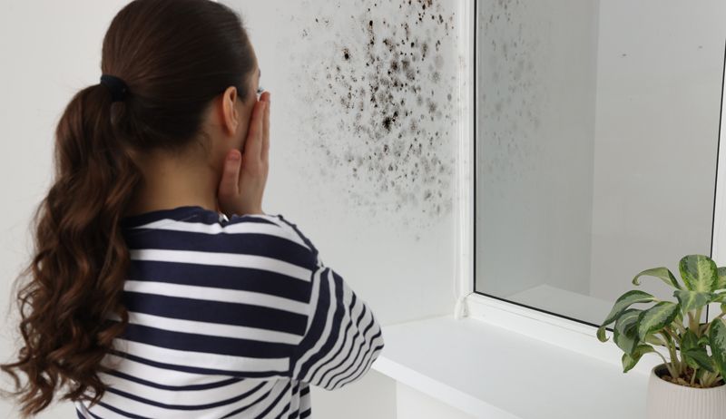 woman concerned about mold toxicity after finding black mold on her walls