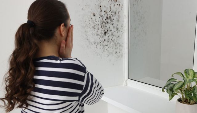 Mold Toxicity